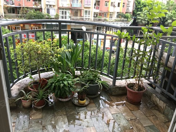 重庆南岸回龙湾回龙湾小区回龙湾小区 1室0厅1卫出租房源真实图片