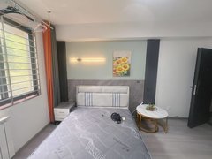 合肥包河中铁四局绿地中心  休宁路地铁口 琥珀新天地出租房源真实图片