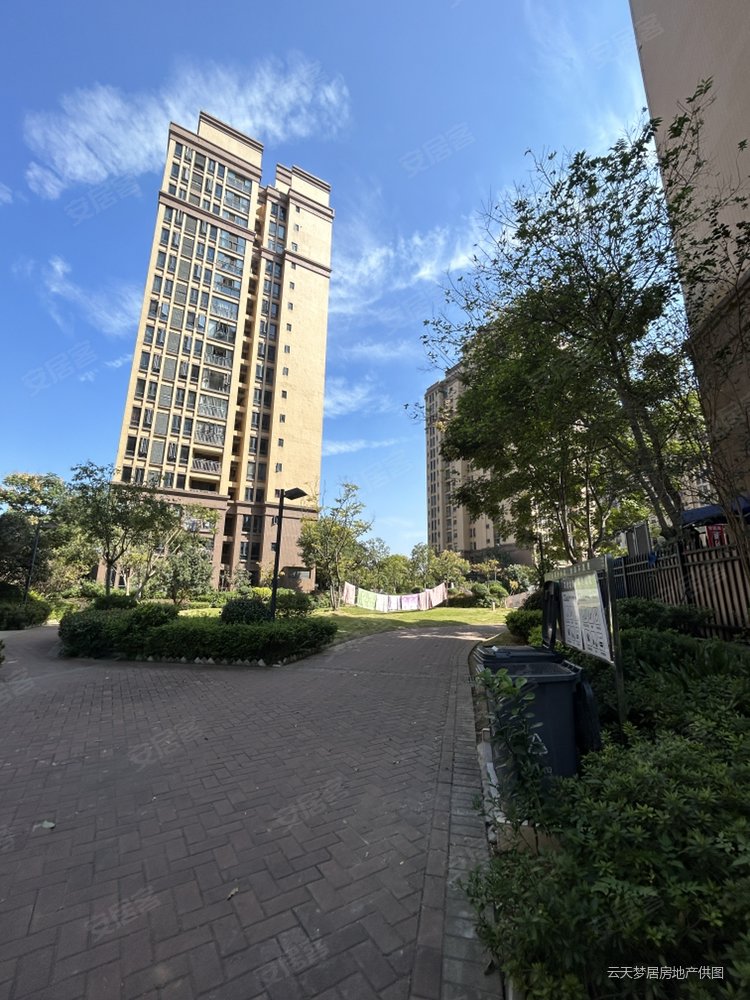 南北通透两房高层老证少税,枫桦苇岸(二期)二手房,50万,2室1厅,1卫