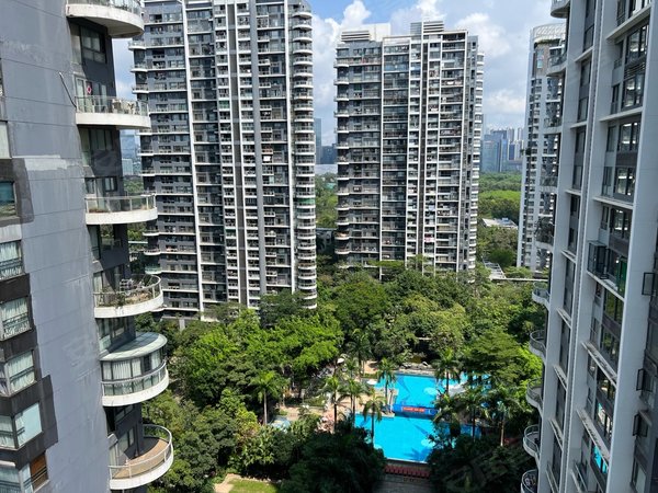 深圳南山华侨城中信红树湾(南区)半层出租,红树湾230平大宅,南北客厅