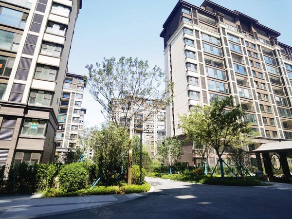 青岛城阳夏庄天一仁和宸璟朗郡品质小区 二中旁 套三双卫 房源采光好