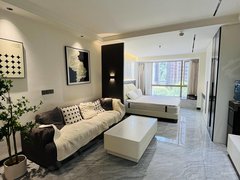 怀化鹤城城北无中介可月付 火车站步步高商业广场附近 温馨公寓 家电齐全出租房源真实图片