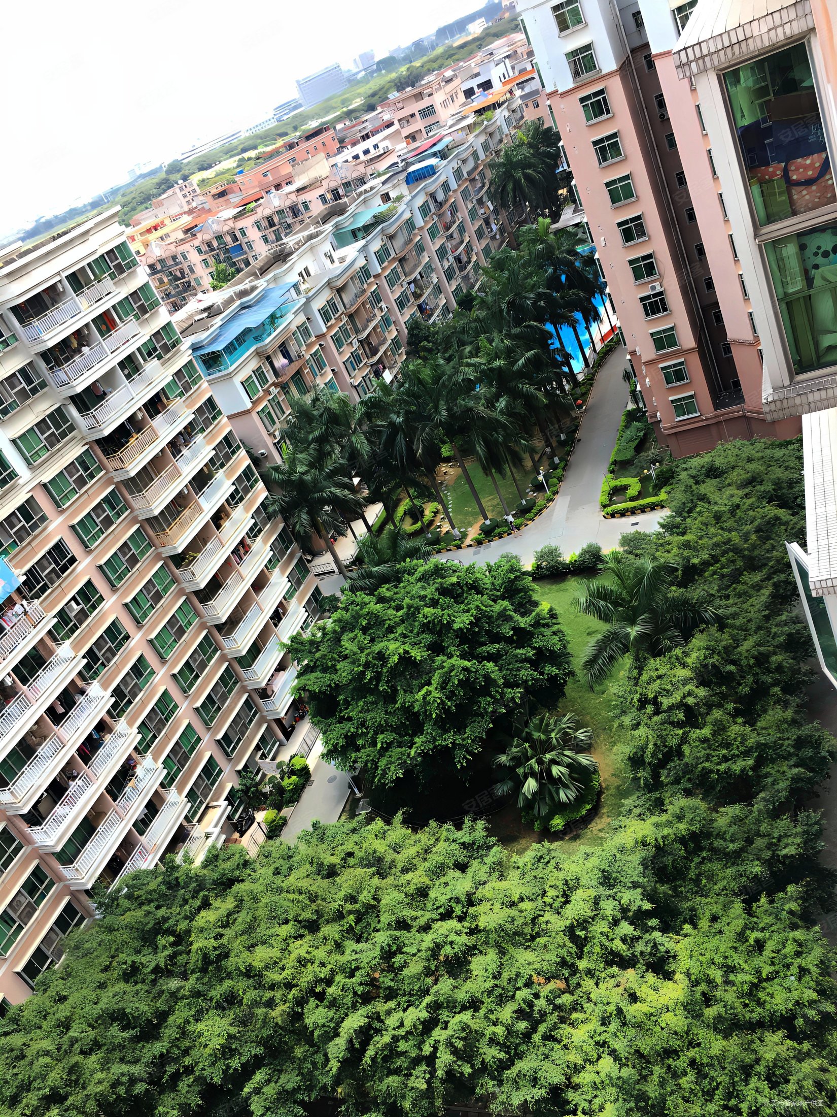 丽景花园新期,方正电梯5房,朝南双阳台,自住精装,拎包入住