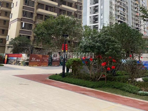 【多图】龙光君御华府翰林,五象广场租房,金湖商圈长湖路 龙光君御
