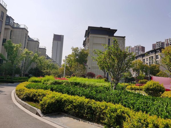 苏州吴江汾湖碧桂园湖悦天境花园湖悦天境,单间独卫,出租,拎包入住