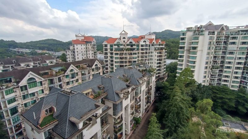 南湖 满五 电梯房 商品住宅 近地铁 密度低 小区绿化高,白云颐和山庄
