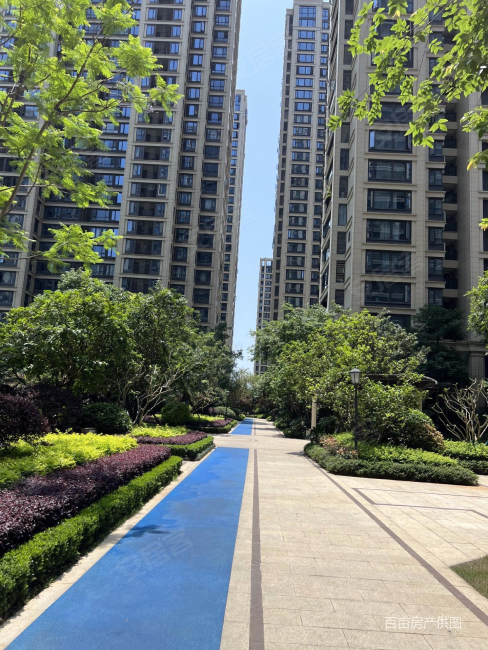 绿城杨柳郡3室2厅2卫97.22㎡南北100万