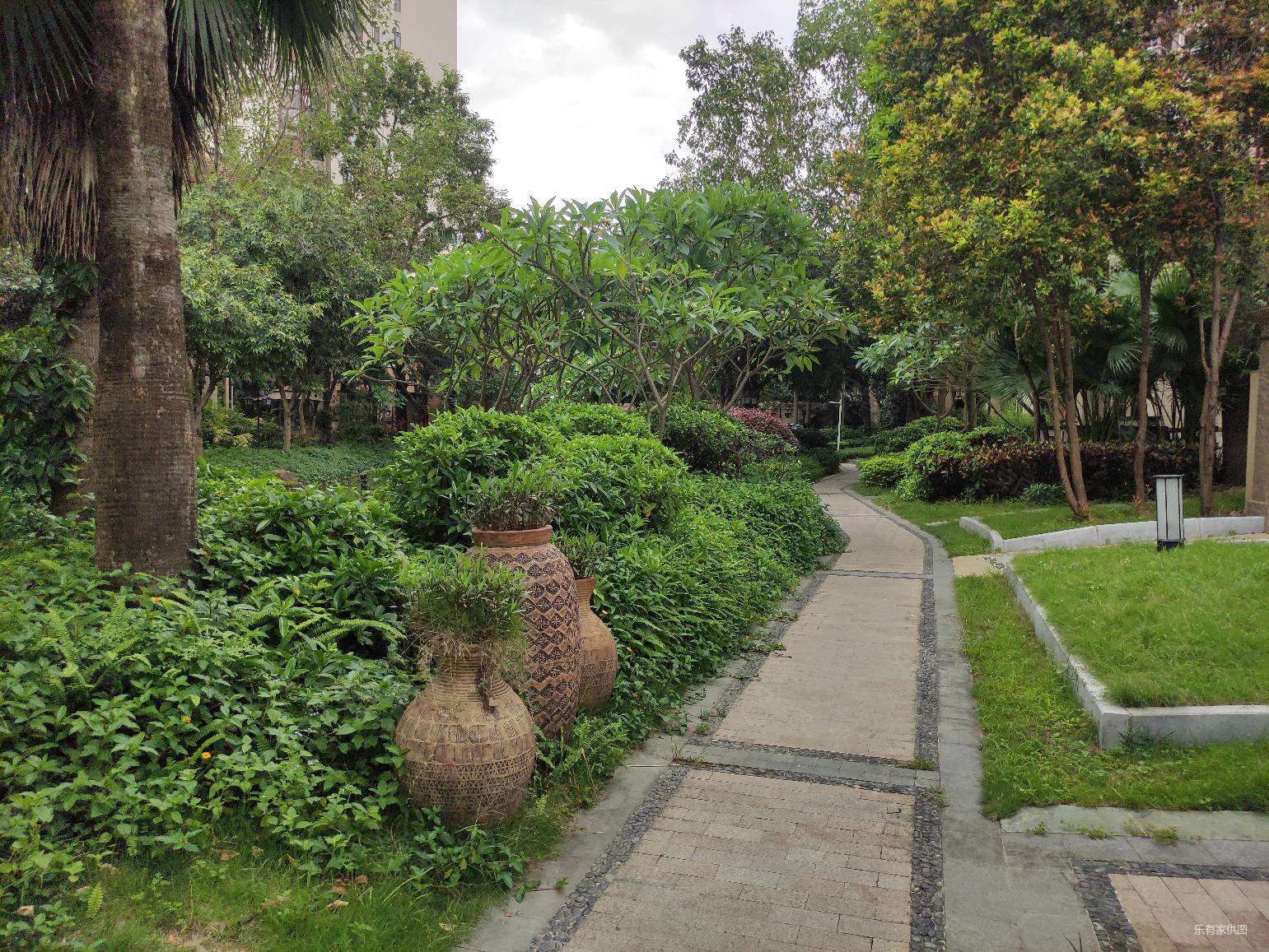 带前后花园 龙光别墅次新小区 交通便利近地铁 滨实书孢,龙光棕榈水岸