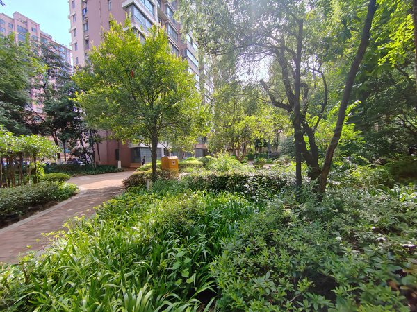 常德澧县财富广场银谷国际银谷西苑银谷国际电梯精装三房两厅两卫家电