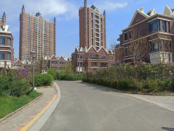 哈尔滨松北松北新区世茂滨江新城(三期别墅)世茂蓝屿别墅出租 室内带