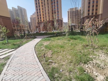 防潮隔音做的也很不错【小区设施】小区大门进去50米有中心花园花园