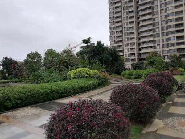 热推(公园一号)精装两房 小区宁静 高档小区 随时看,赤坎租房-湛江58