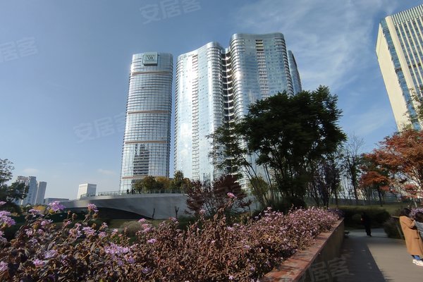 成都银泰中心华悦府