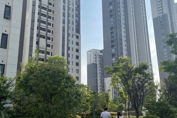 当代未来城(少荃湖名苑)周边房产中介经纪人评价-合肥安居客