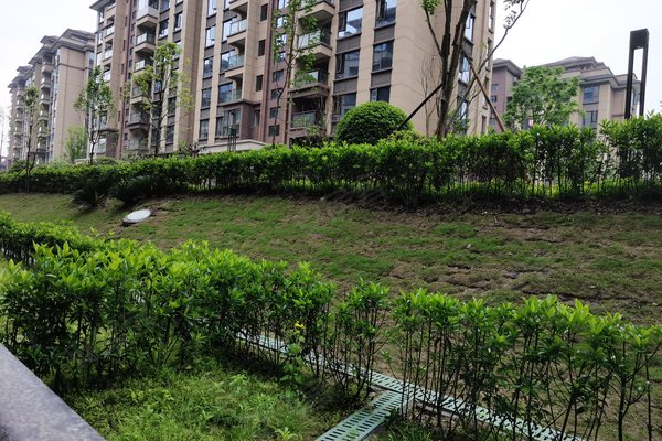 西溪云麓,改革开放大道-广安西溪云麓二手房,租房-广安安居客