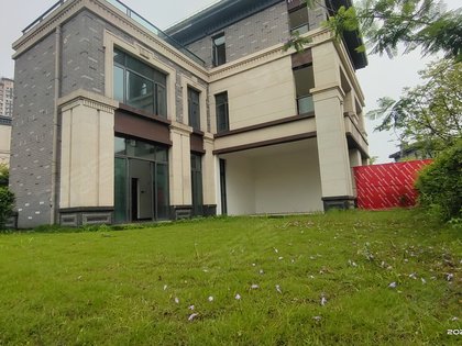 长湖郡(别墅)优点,不足,长湖郡(别墅)怎么样,长湖郡(别墅)周边房产