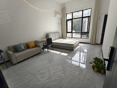 合肥高新柏堰湖英唐产业园 科大讯飞 岭湖墅南向超大院子套内 天源迪科出租房源真实图片