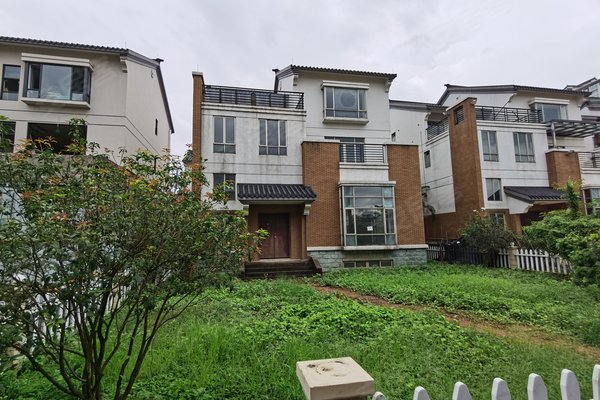 广州小区 番禺小区 市桥南小区 金沙丽水(别墅) 金沙丽水(别墅)怎么样