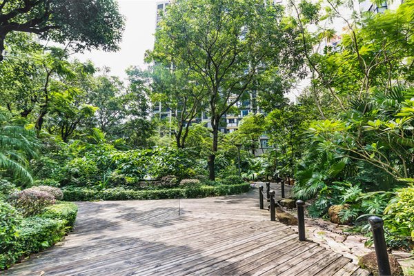 波托菲诺香山里