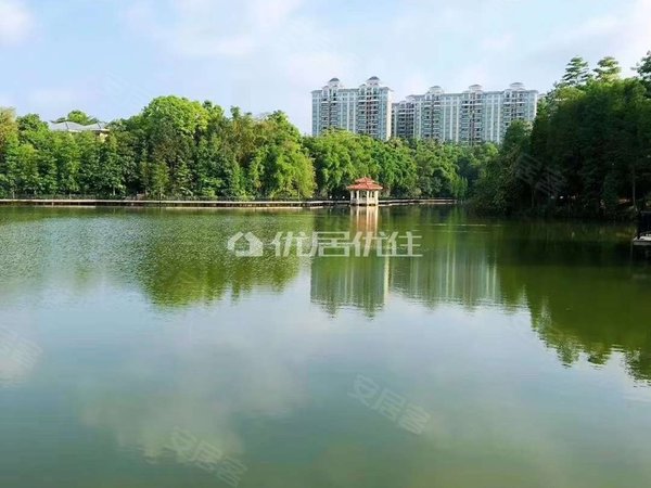 广州增城中新镇景新国际名城装修好,保养新!