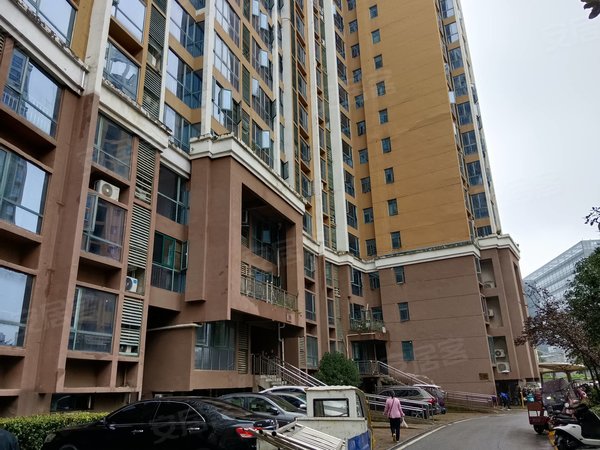 信阳浉河信阳贸易市场丽涛雅苑贸易广场电梯50平精装公寓月租950家具