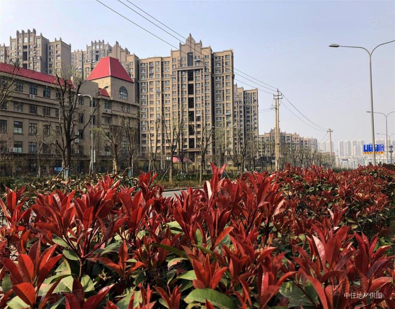 公安厅宿舍大三室有车位地下室一梯两户丽景苑环宇城