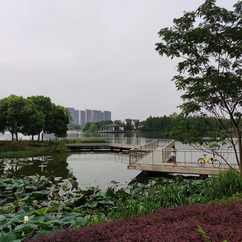 【翠湖湾, 翠湖湾小区专家解读页】- 苏州58同城