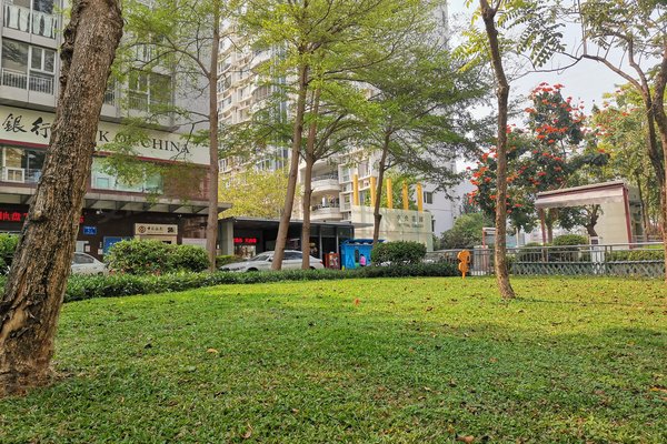 不足,中央花园怎么样,中央花园周边房产中介经纪人评价-深圳安居客