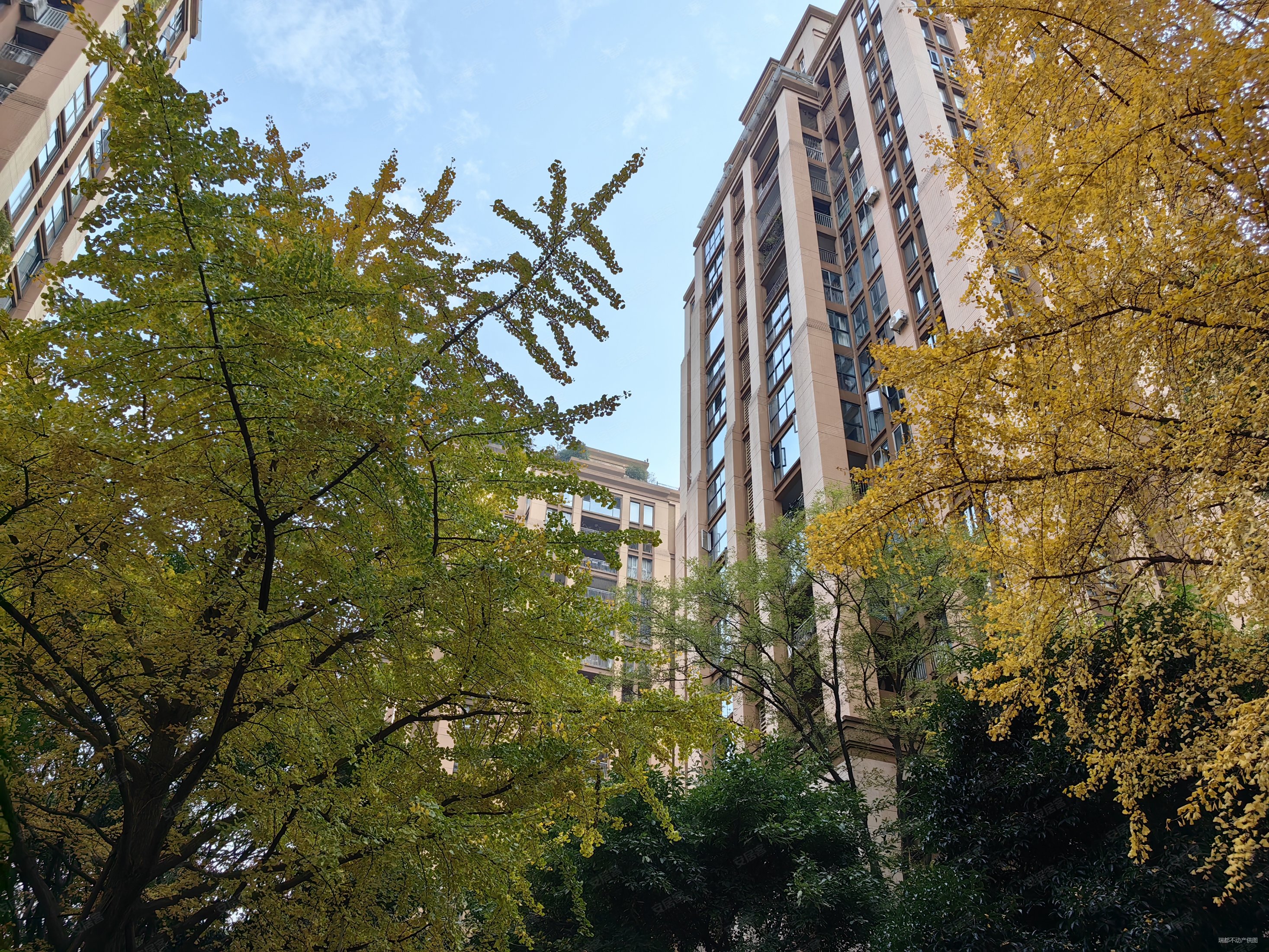 桐梓林欧城3室2厅2卫158.27㎡南400万