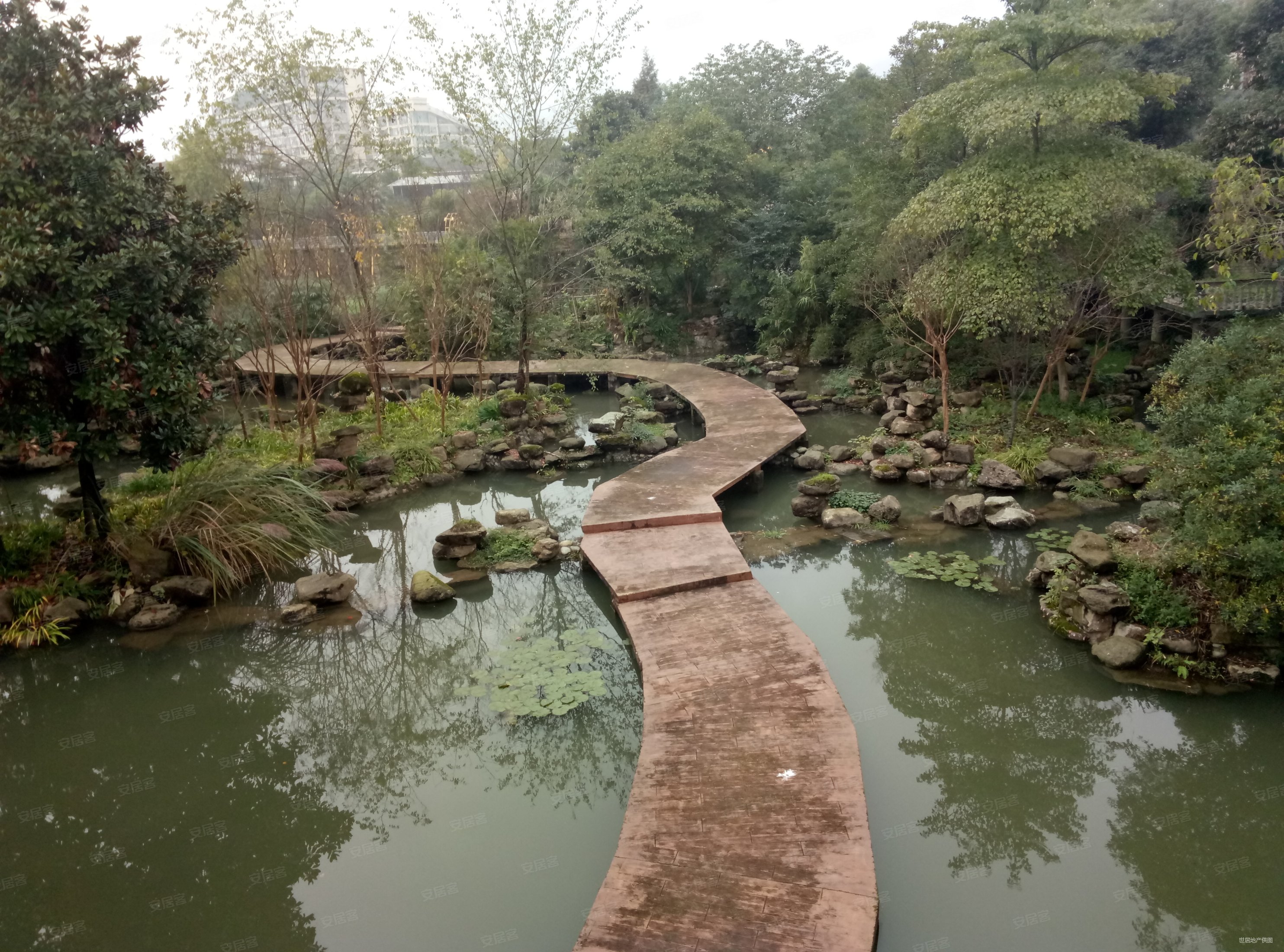 青城白鹭洲花园60平南北通透简单装修周边商圈成