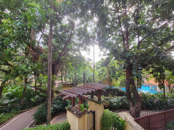 广州越秀二沙岛新世界棕榈园二沙岛 新世界棕榈园 三房两卫 看房方便