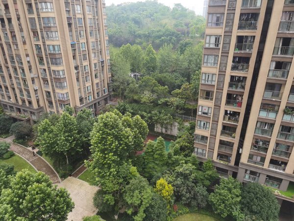 重庆涪陵涪陵宝龙广场绿地海域澜屿楼层视野开阔,周围商圈配套成熟!