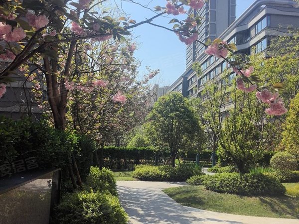 苏州工业园中海锦麟铂悦府想要空租的看过来!