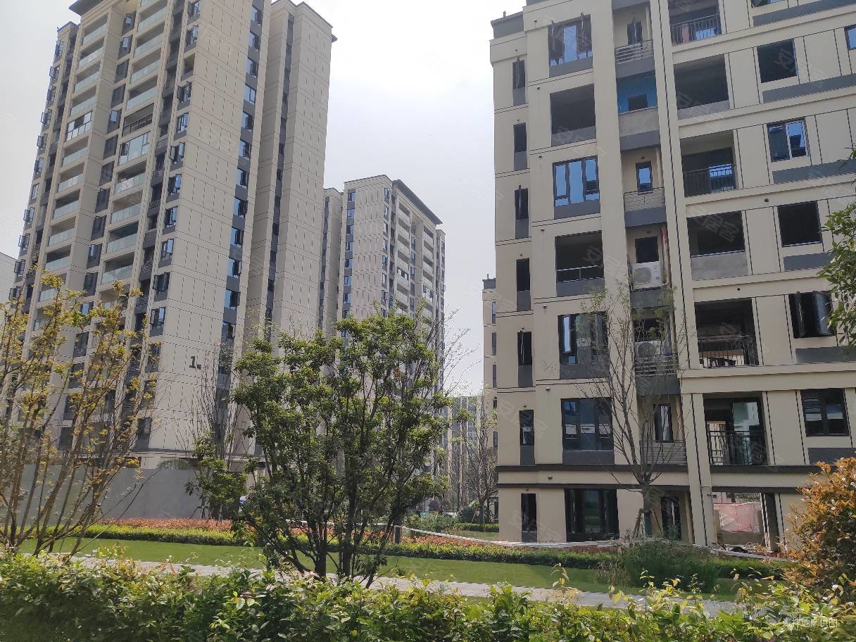 龙洲湾现房板式洋房1t2南北通透采光好大花园业主急售