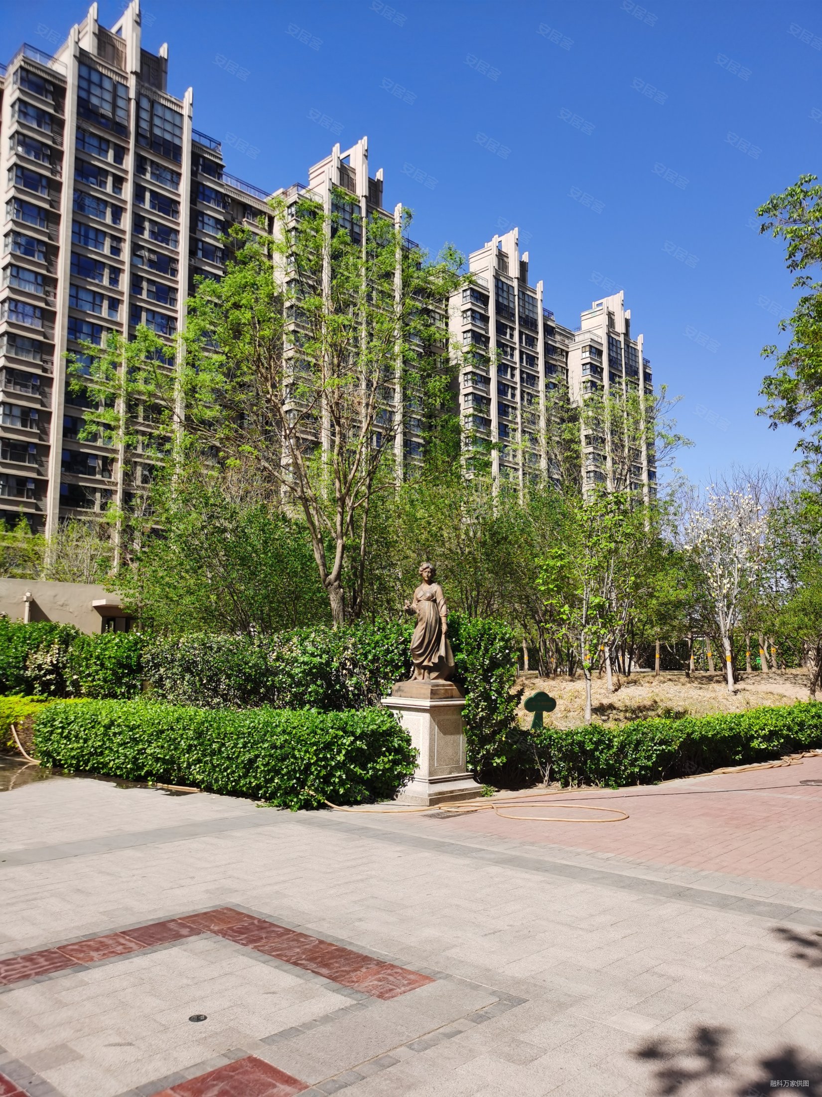 首付200住合生滨江新房3居,带装修现房 拎包入住 纯新房,合生滨江帝景