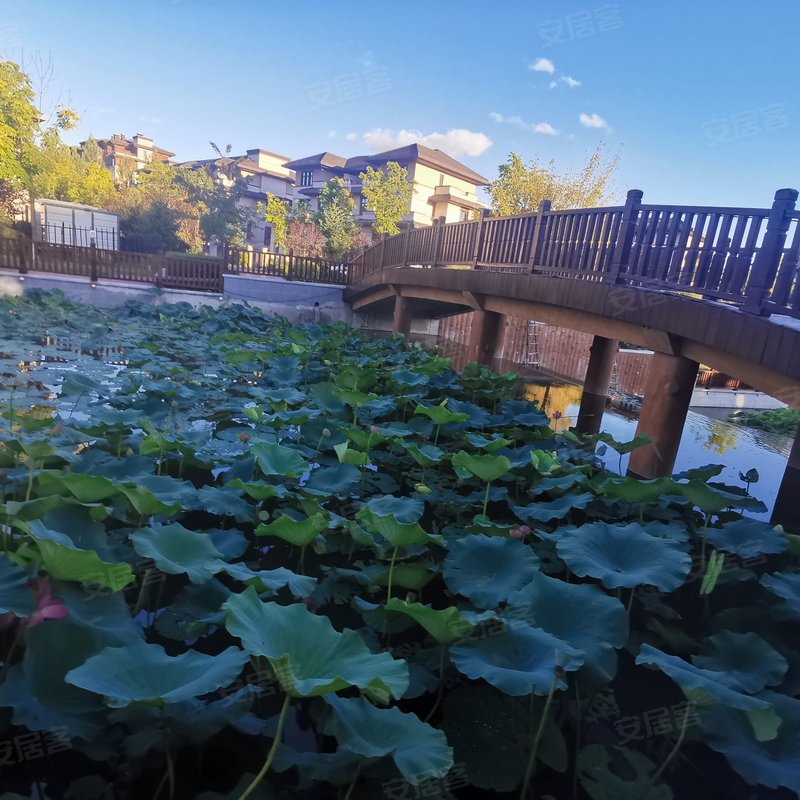 【国信南山桃花源, 国信南山桃花源小区详情,房价走势,房源,业主论坛