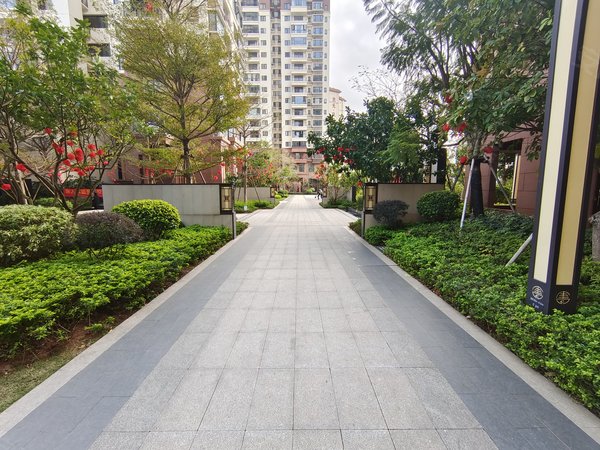 南宁良庆良庆镇五象大唐果五象大唐果 两房急租1400 免物业费停车费