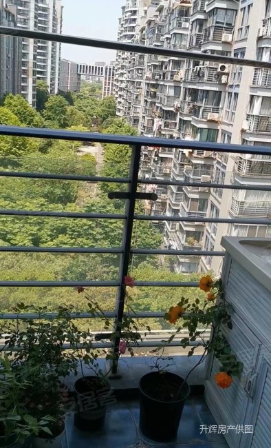 宁波房产网>宁波二手房>江北二手房>白沙二手房>北岸琴森>