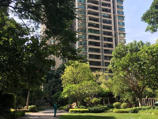 广州花都新区雅居乐锦城花漾集看房方便,雅乐城商圈,单身公寓出租房源