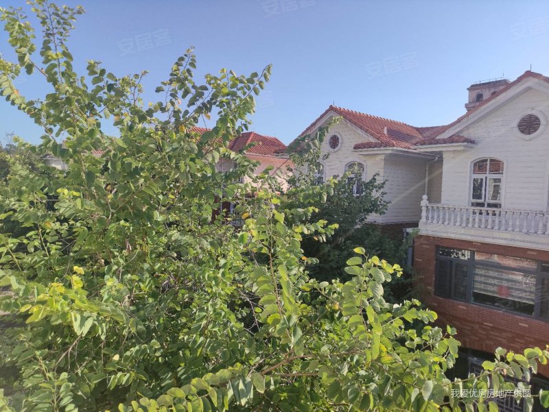 珠江国际城 有电梯 满五   双卫 小三房 高楼层采光充足