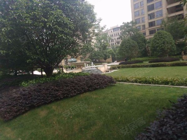 【多图】九龙仓碧玺,桥西租房,桥西地铁口河站d32边碧玺大三室卖小边