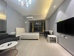 株洲荷塘新桂广场红旗广场精装公寓自带投影仪700押一付一 可短租 免费停车出租房源真实图片