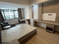 深圳宝安坪洲一号线坪洲地铁站近腾讯企鹅岛精装公寓独栋电梯房拎包入住出租房源真实图片