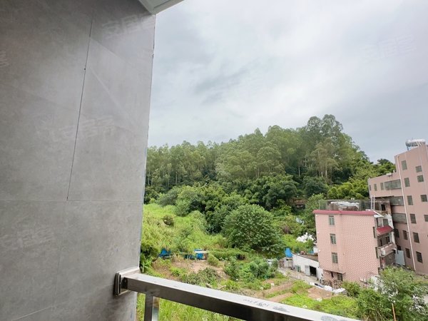 广州天河柯木塱塘石南街小区高塘石一房一厅 全新招租  近网易 近地铁