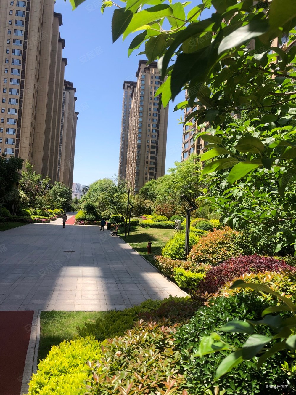 金泰华府南府金小九中证过二精装三室好楼层临金雀新城