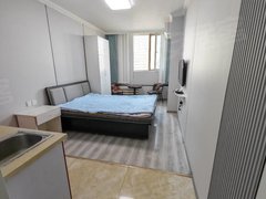 乌鲁木齐沙依巴克阿勒泰路民族不限 押一付一 精装  温州街   电梯公寓  拎包入住出租房源真实图片