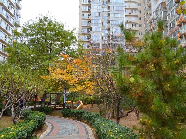 【多图】中海馥园,增光路租房,中海馥园 人车分流 全新装修 一天未住