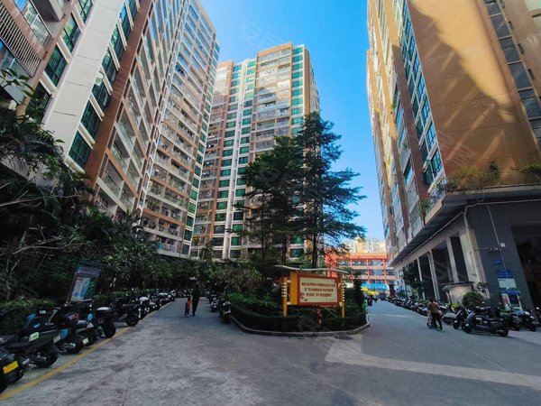 深圳布吉南岭黄金豪庭(龙岗)丹竹头 小区房 精装修三房两厅拎包入住