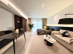 嘉兴南湖大桥镇南湖区高端公寓带大阳台民用电免停车押一付一中央空调智能马桶出租房源真实图片