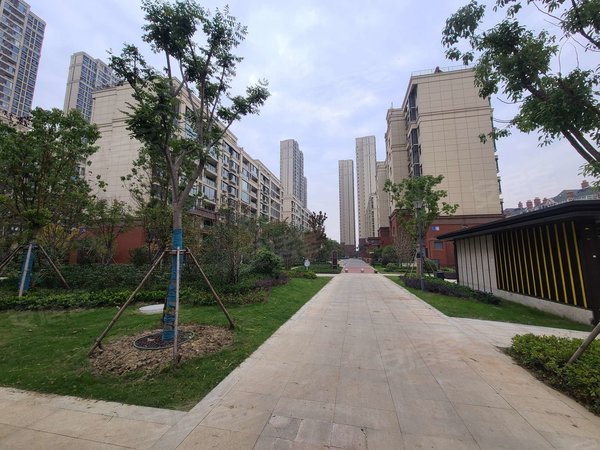 无锡惠山堰桥悦湖花园实拍 公园悦府 全新大三房未住 设施可添加 随时